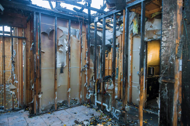Professional Odor Removal technician working in Palatine, IL