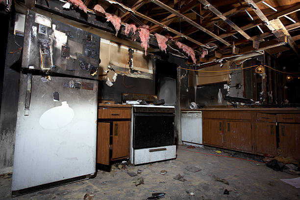 Licensed Odor Removal service in Palatine, IL - Meridian Smoke Damage